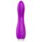 Douby Silicone Purple Vibrator