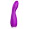 Douby Silicone Purple Vibrator