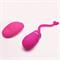 Remote Vibrating Egg Odise USB Silicone Pink