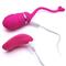 Remote Vibrating Egg Odise USB Silicone Pink